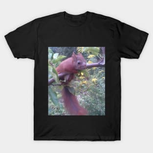 Squirrel-Skiper T-Shirt